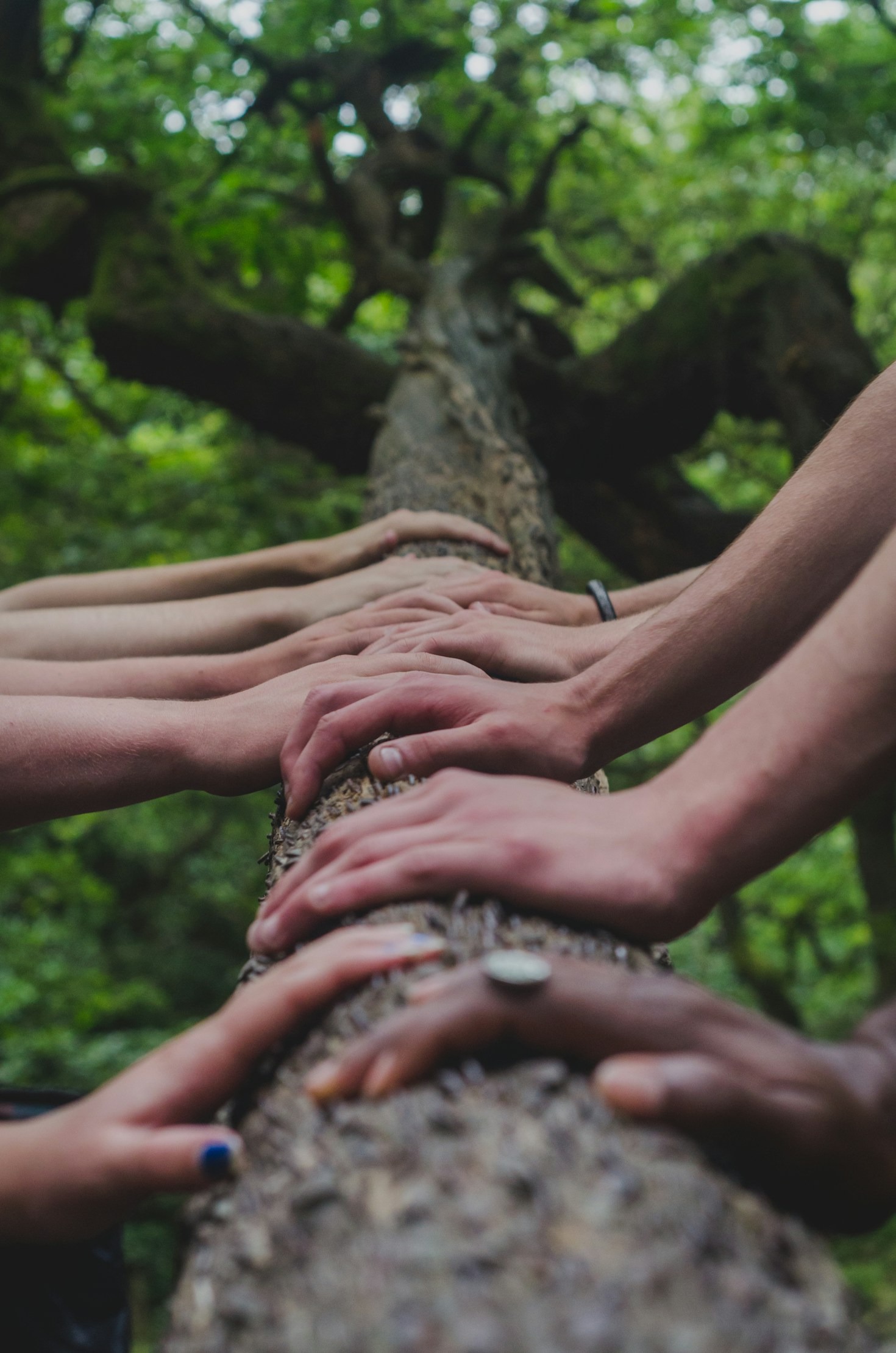 How the Zonta Club Supports Women Locally